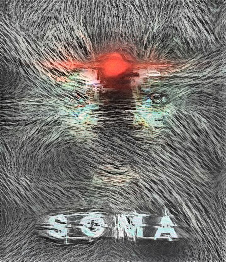 Soma Poster