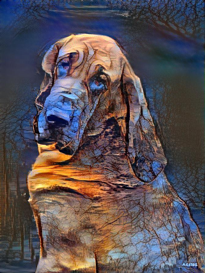 My bloodhound girl Lorenza