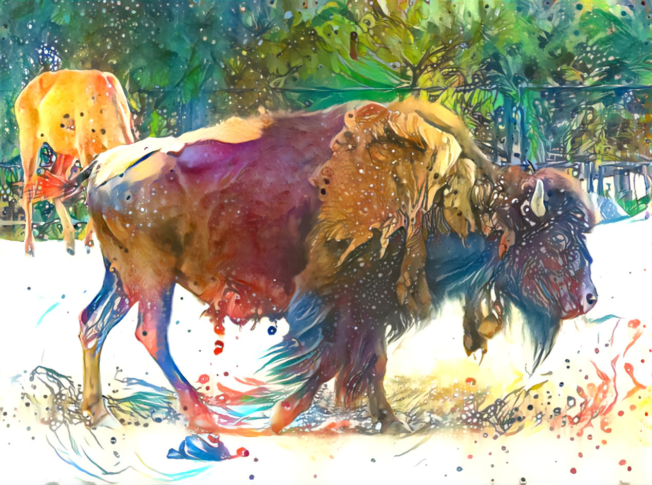 aquarel bison