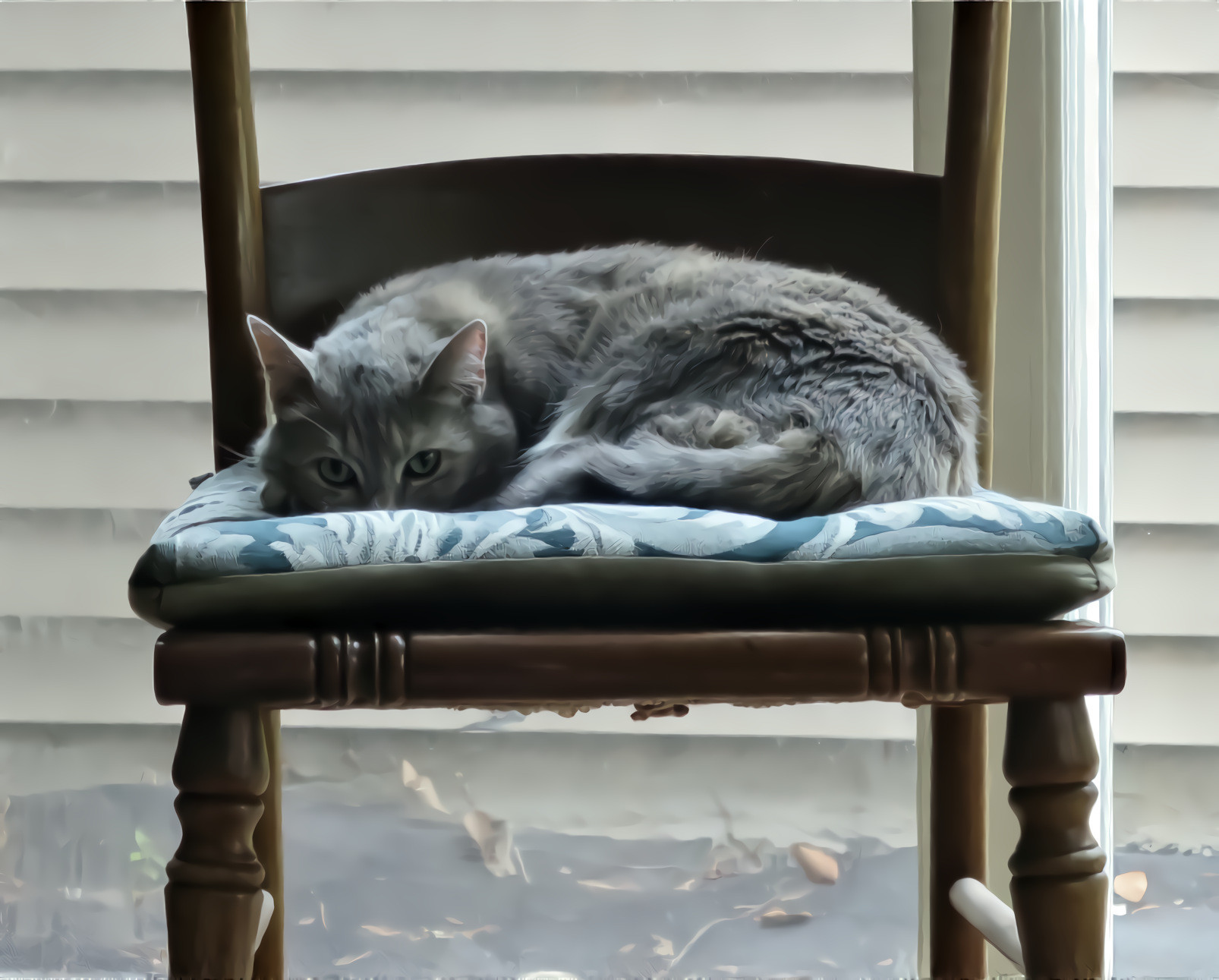 Feral Fawcett's Chair and Nap