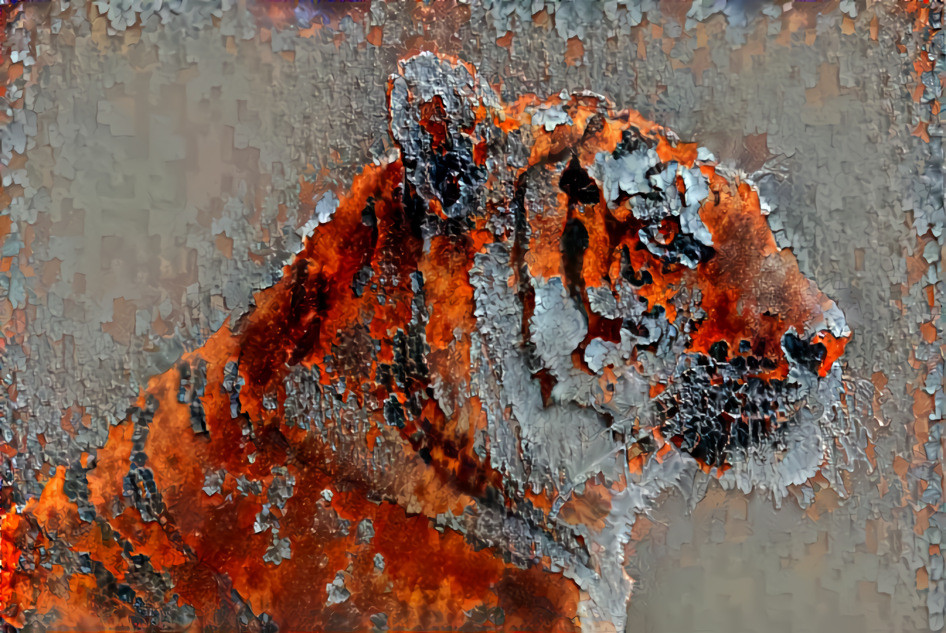 Rusty Tiger 