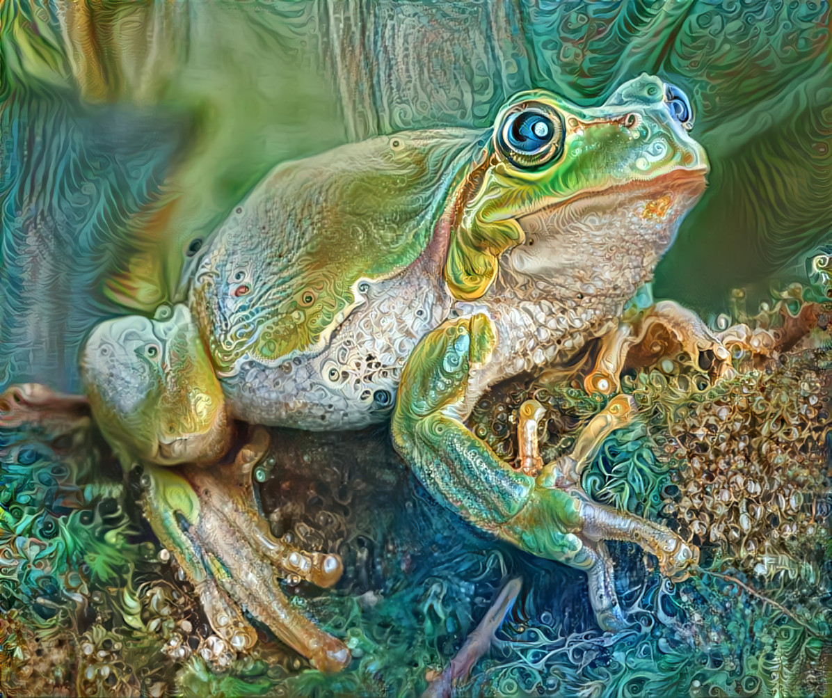 fractal frog