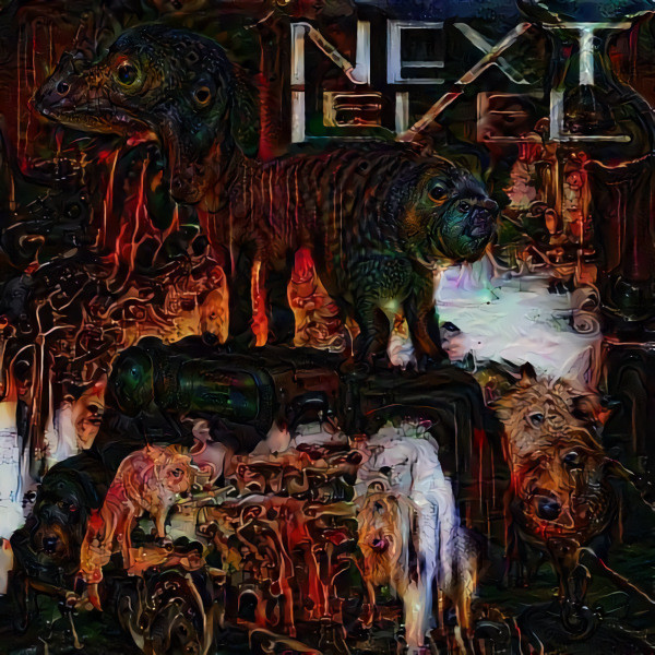 What is the next ?