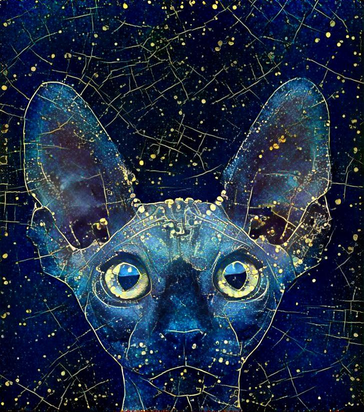 Astral Sphynx Cat