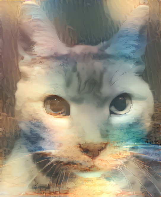 Ethereal Cat