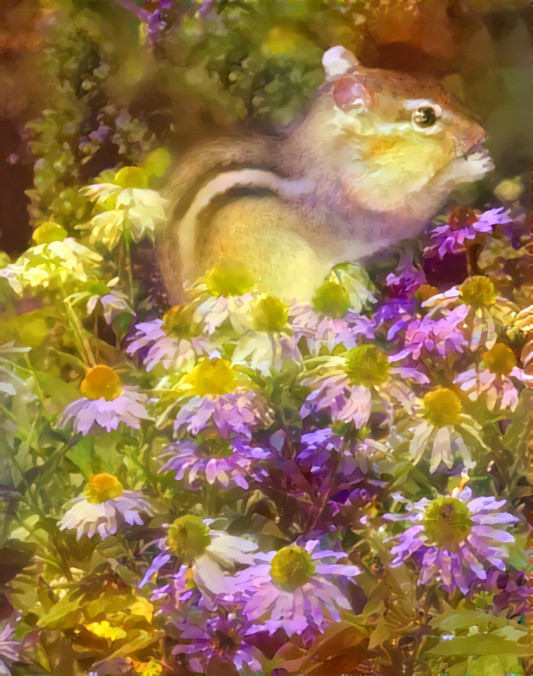 Squirrel in the Flowers