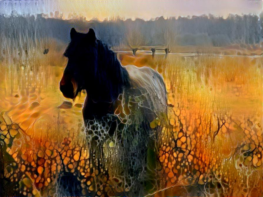 ‘At the pasture’ ; own photo, filter found on Sanne’s page