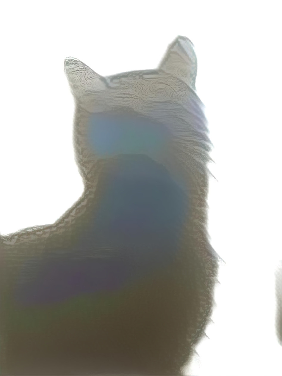 Feline Silhouette
