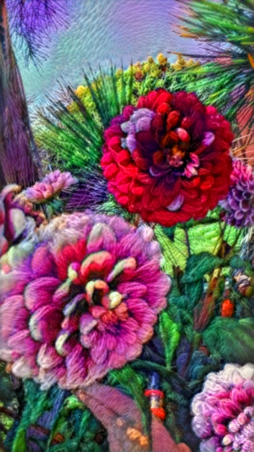 Knitted dahlias 