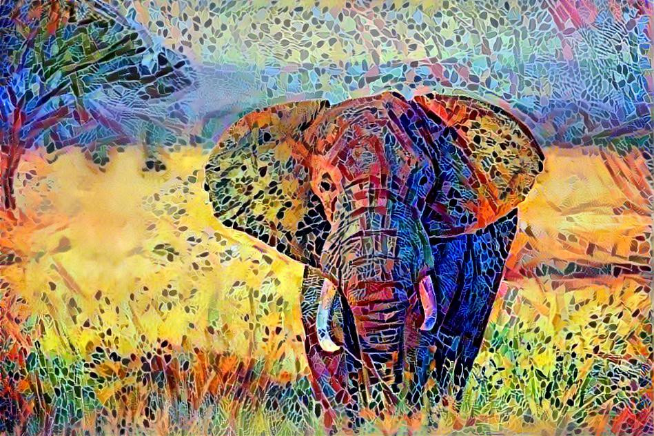 The colorful elephant