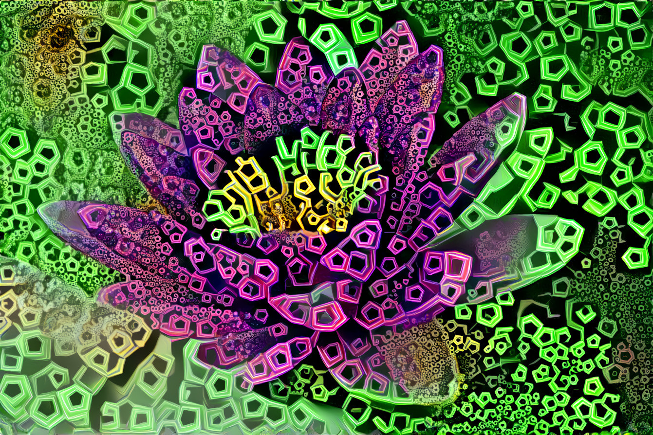 Polygon Pearl Lotus