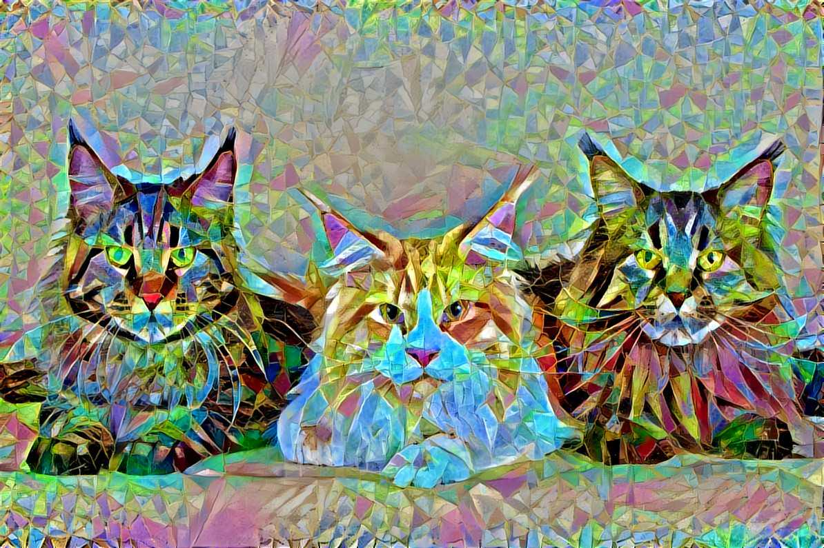 Maine coon cats mosaic 8