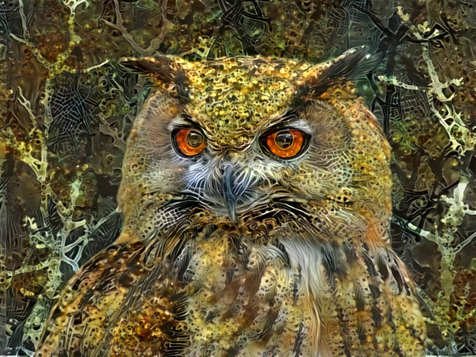 "Forest Owl" _ DDG Challenge (by Ben Beekman) - 05/23/18, on "Deep Dreamers" (group on Fb).