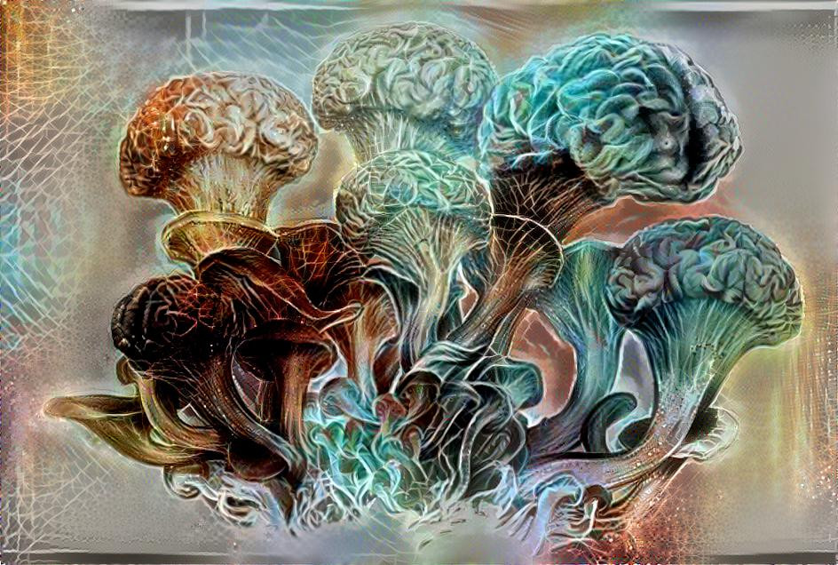 "Magic Mushrooms"