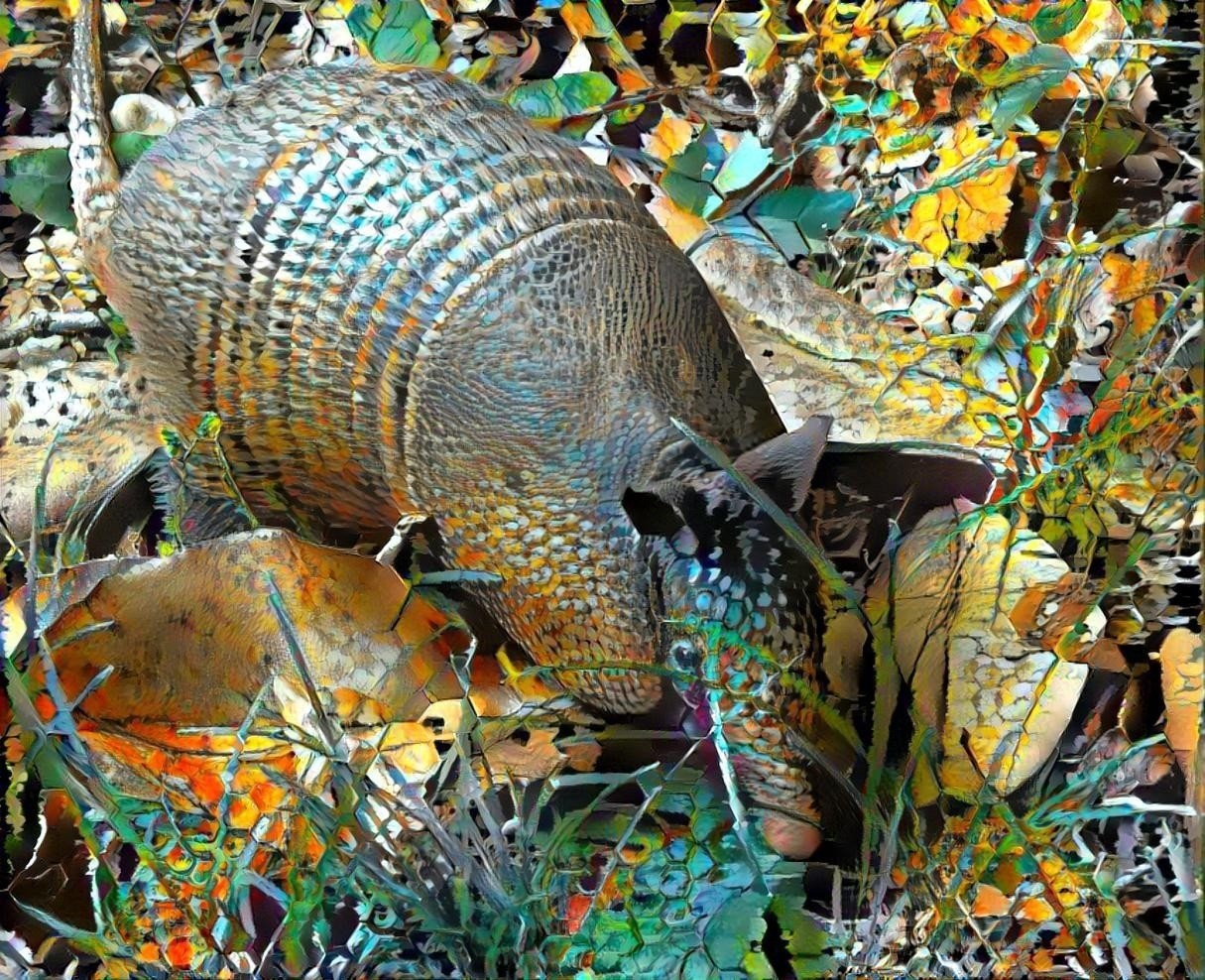 Huech (or Tatú) - a sacred animal for the ancient Maya - trundling through my backyard as a humble armadillo. Style and inspiration provided by Claudio (thank you)..