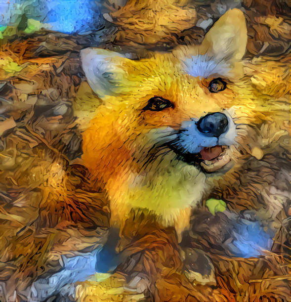 Ghoged Fox
