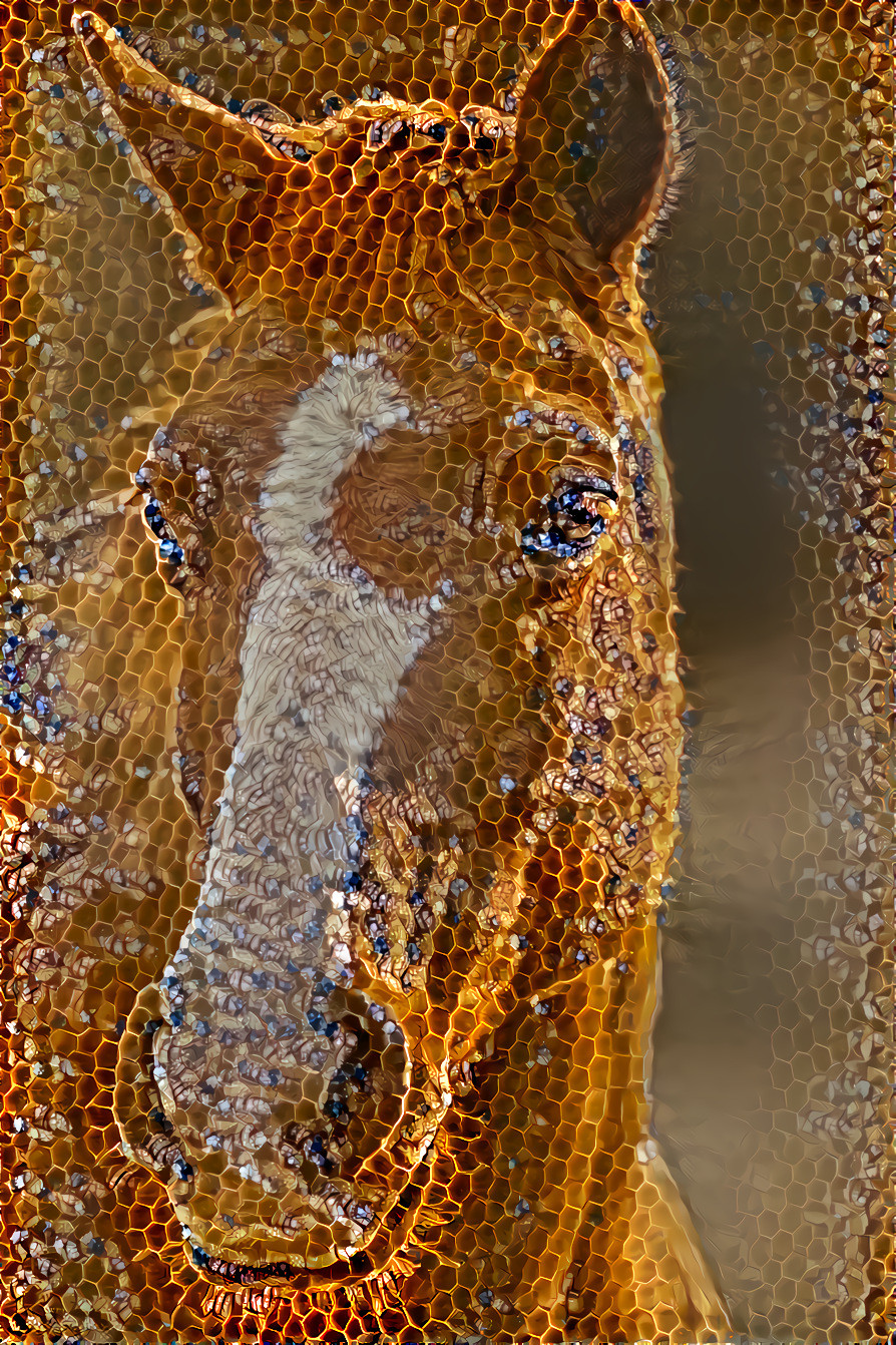 Honeycomb Stallion