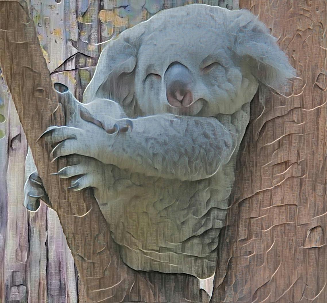 (Koala) ‘Bear with Me’