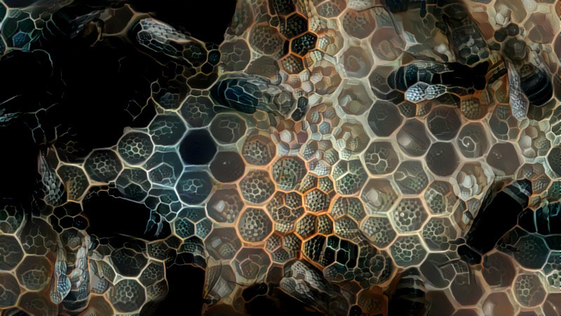 Bee 03 hexagon