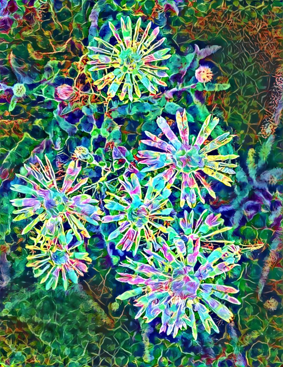 Kaleidoscope Dream Flower's/ My Image & Style