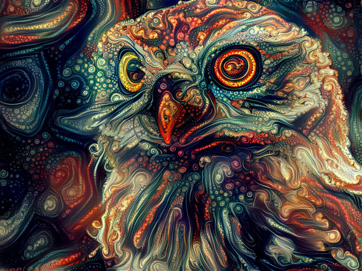 Owl in Swirling Colors [1.2MP]
