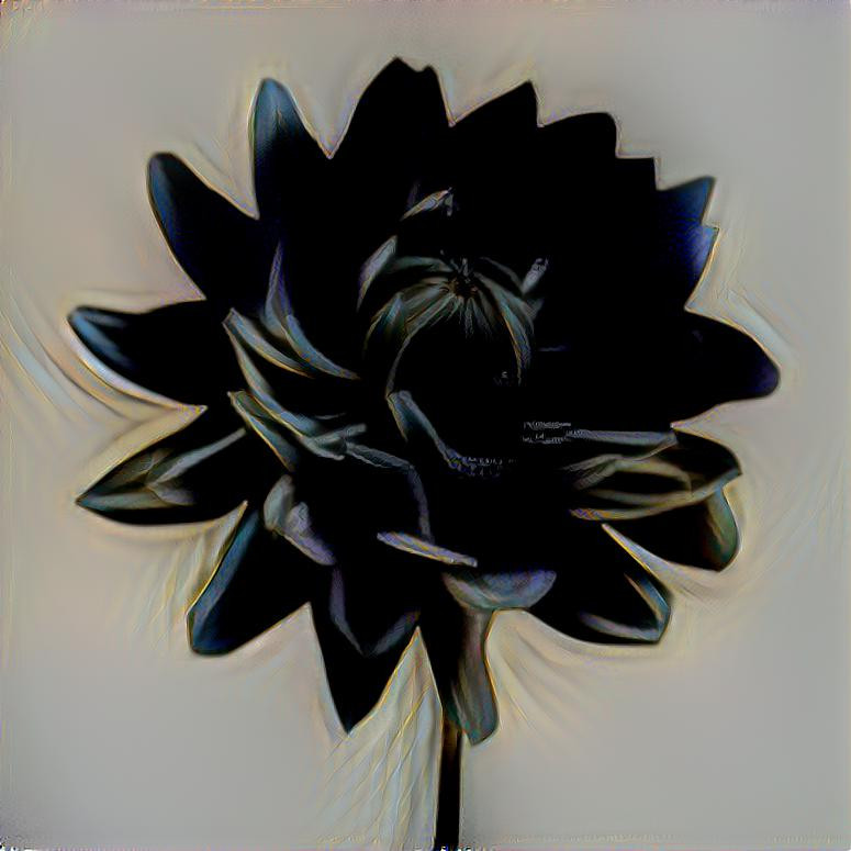 Dark bloom