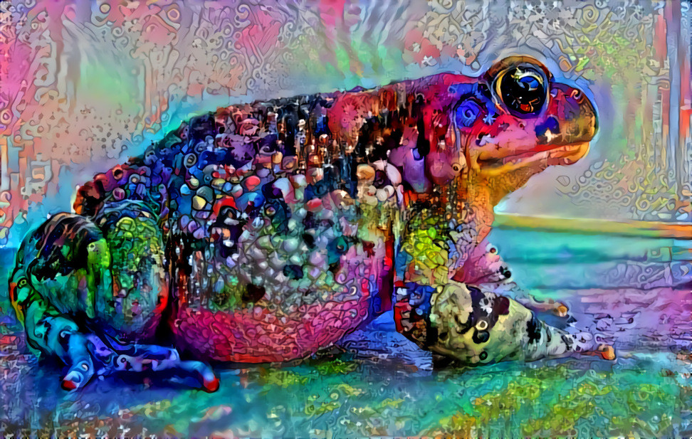 Toad 1