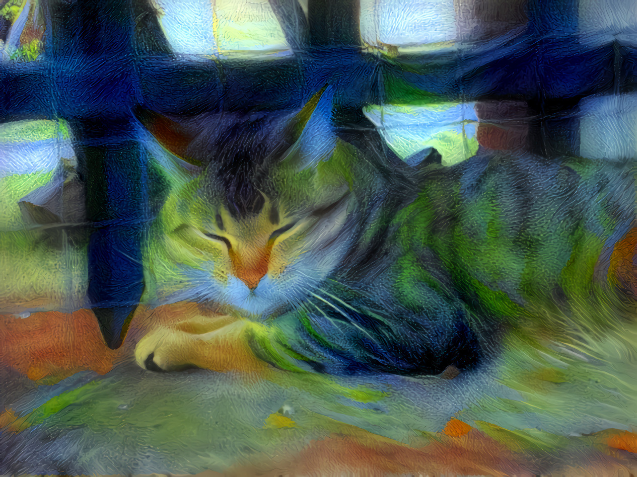 Minxie the Mousehole Cat [1.2MP]