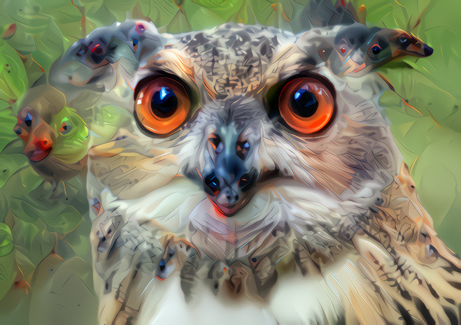 Spoopy owl