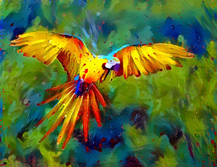 Macaw in flight