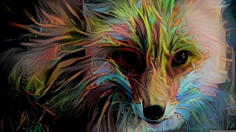 Neural fox