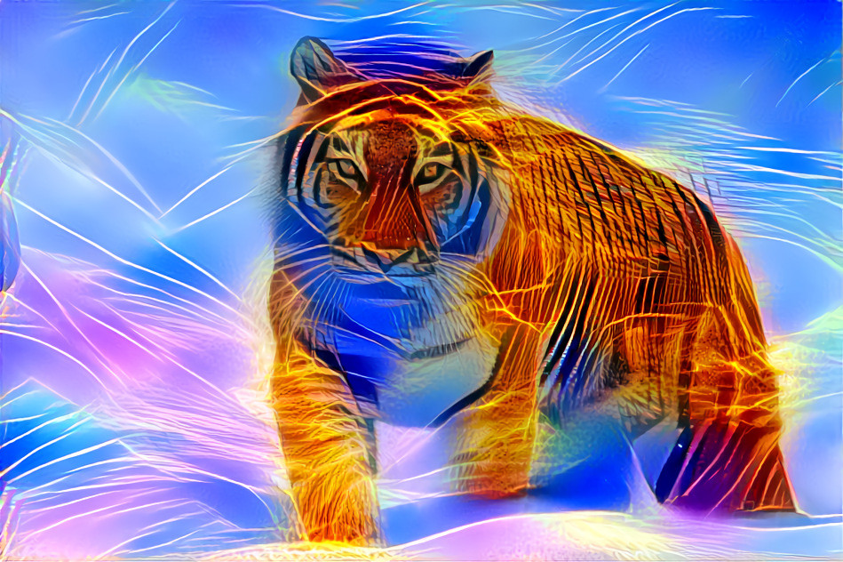 Of Tigers I Dream