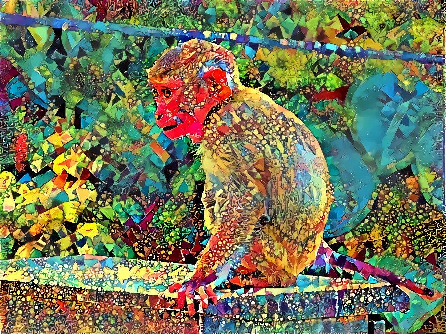 Rhseus macaque 3 quilt 7