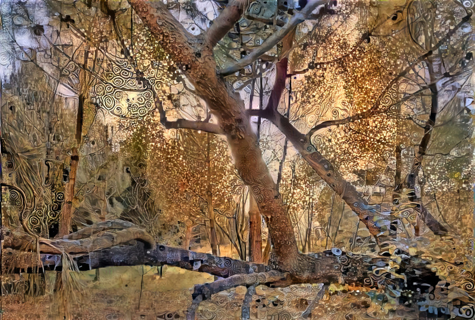 Arbres du jardin + Klimt