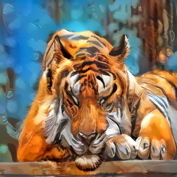 Sleeping Tiger (©️DM)