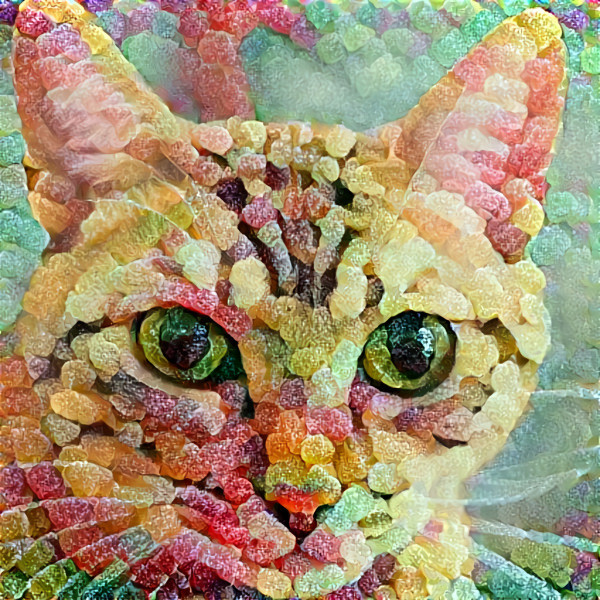 Jellybean Cat
