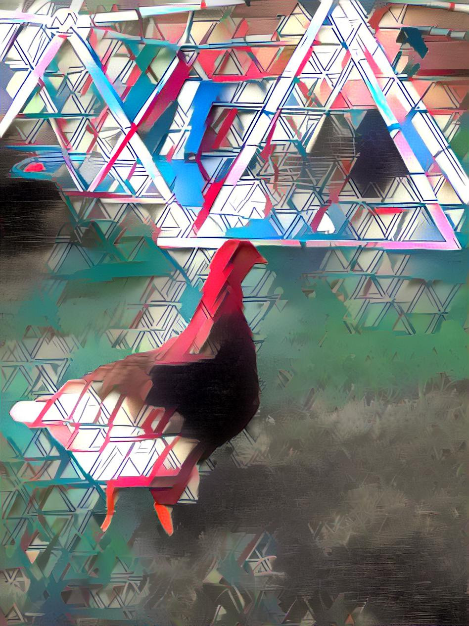 Spring Chicken in triangles