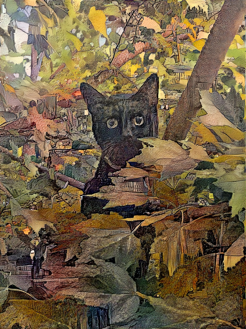 Black Cat in a Maple Tree