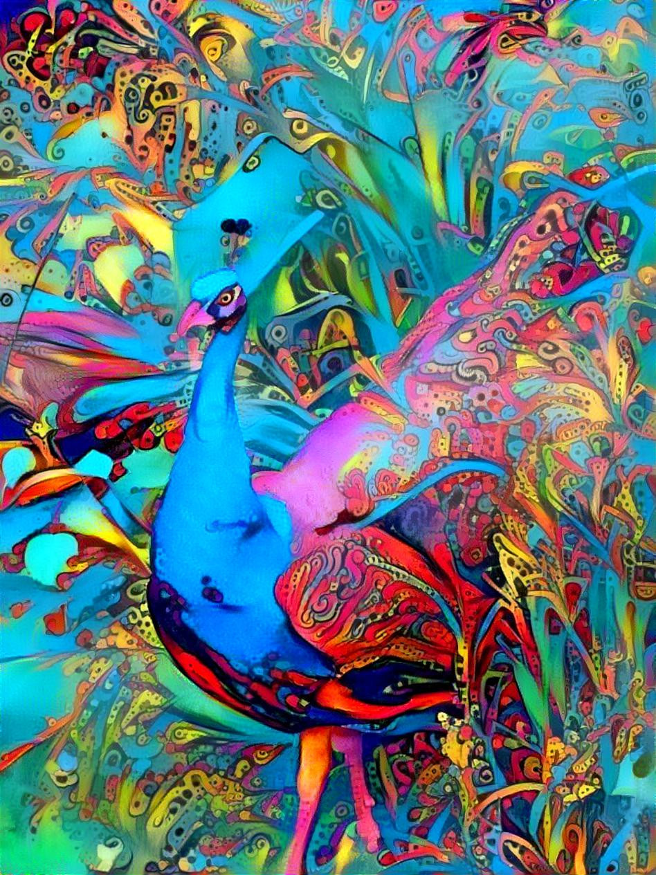 Incognito peacock