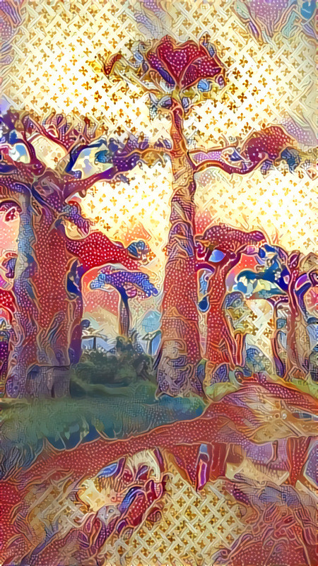 baobab tree wallpaper