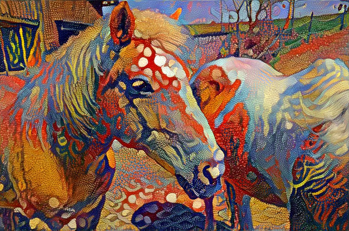 colored horses