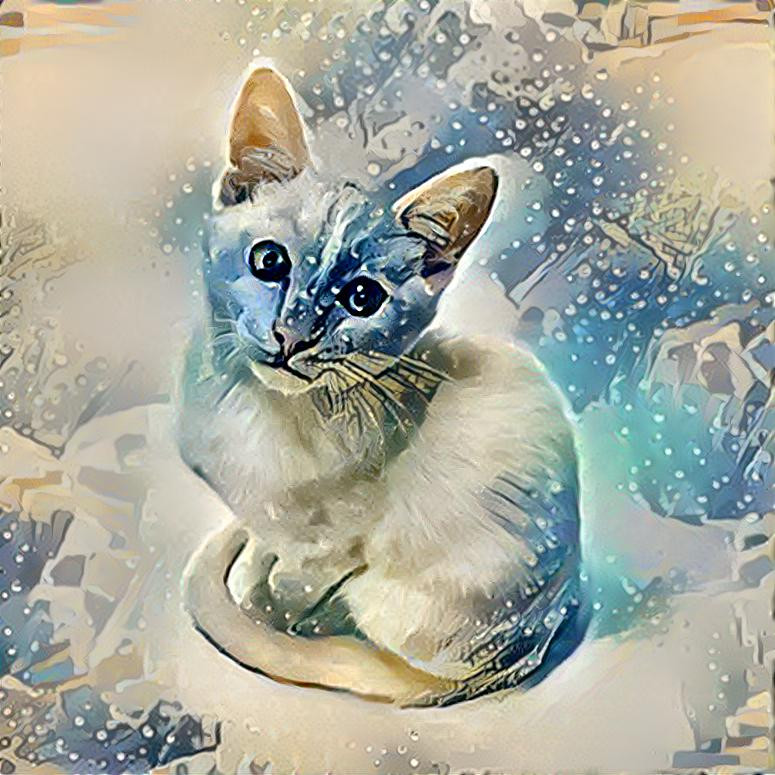 Snow Kitten