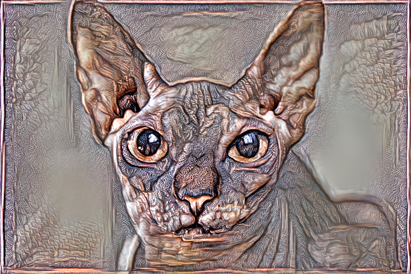 Sphynx Cat (Image by rony michaud from Pixabay)
