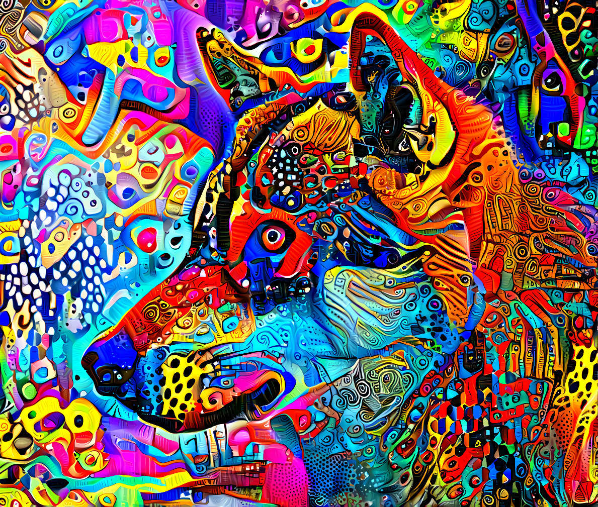 psychedelic groovy dog
