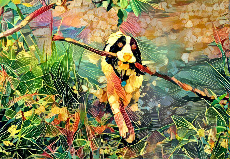 Spaniel with stick