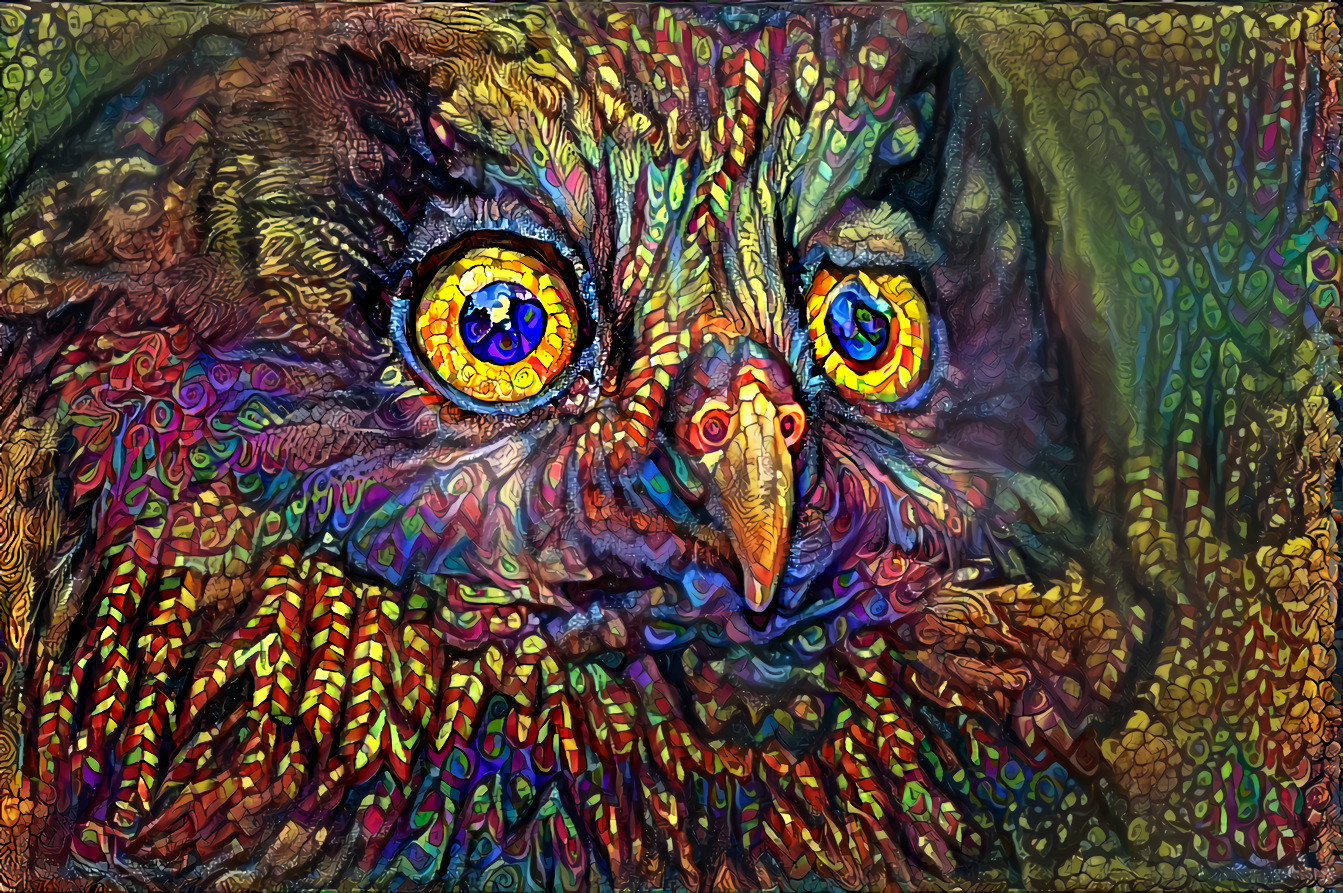 Psycedelic Owl