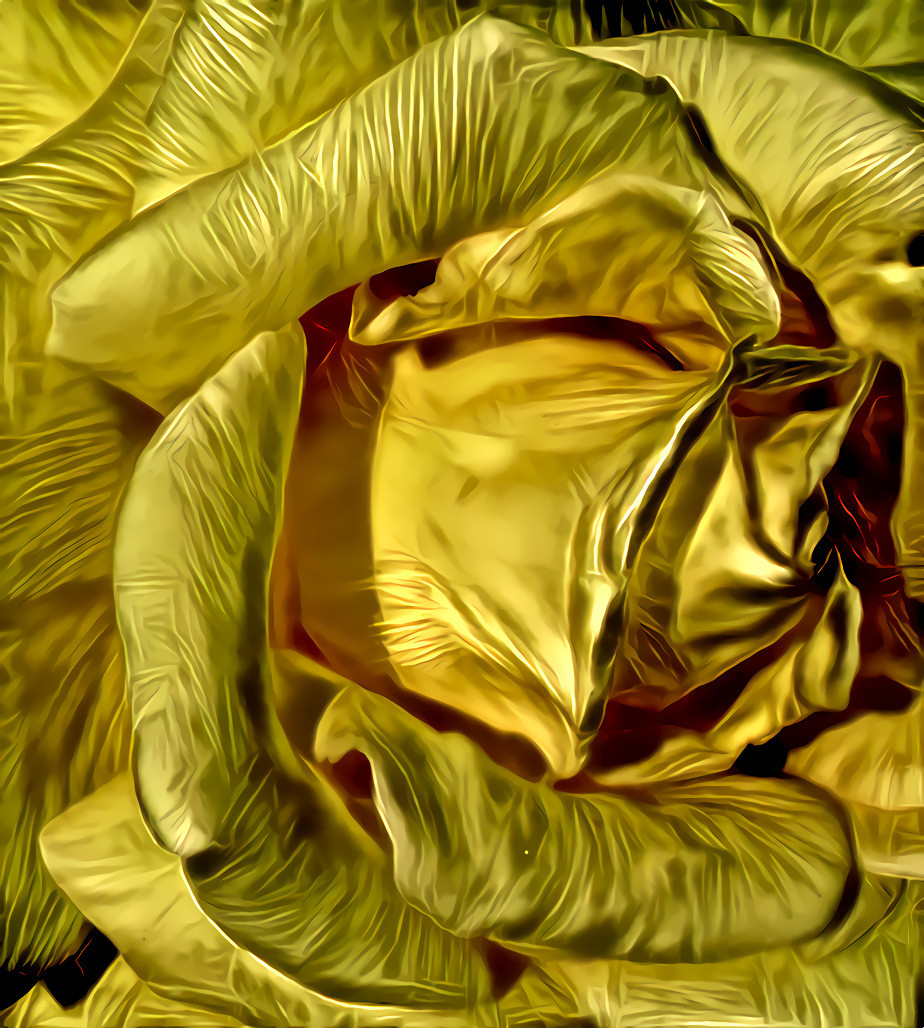 Yellow Satin Rose