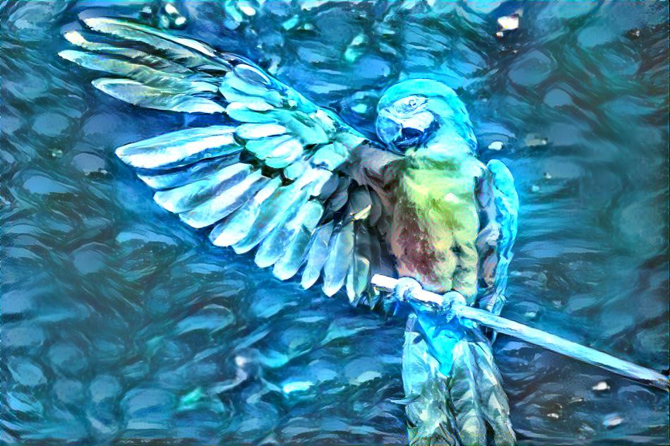 Dreamy Parrot