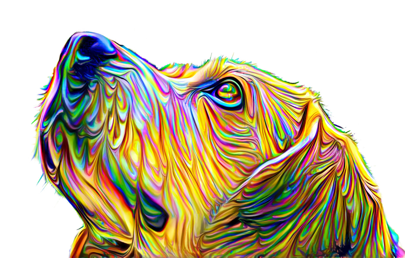 Droopy Rainbow Dog