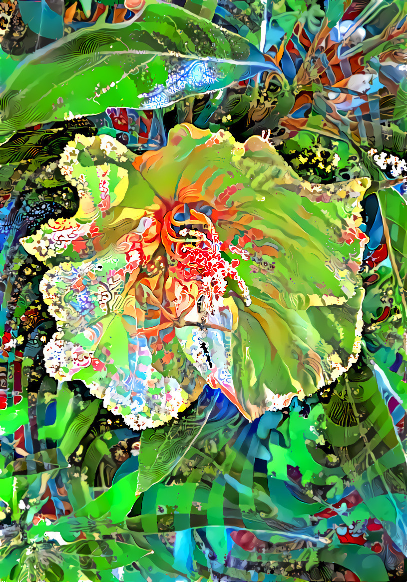 Oenothera 2 overlaid collage 120